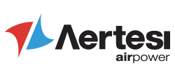 Logo_artesi