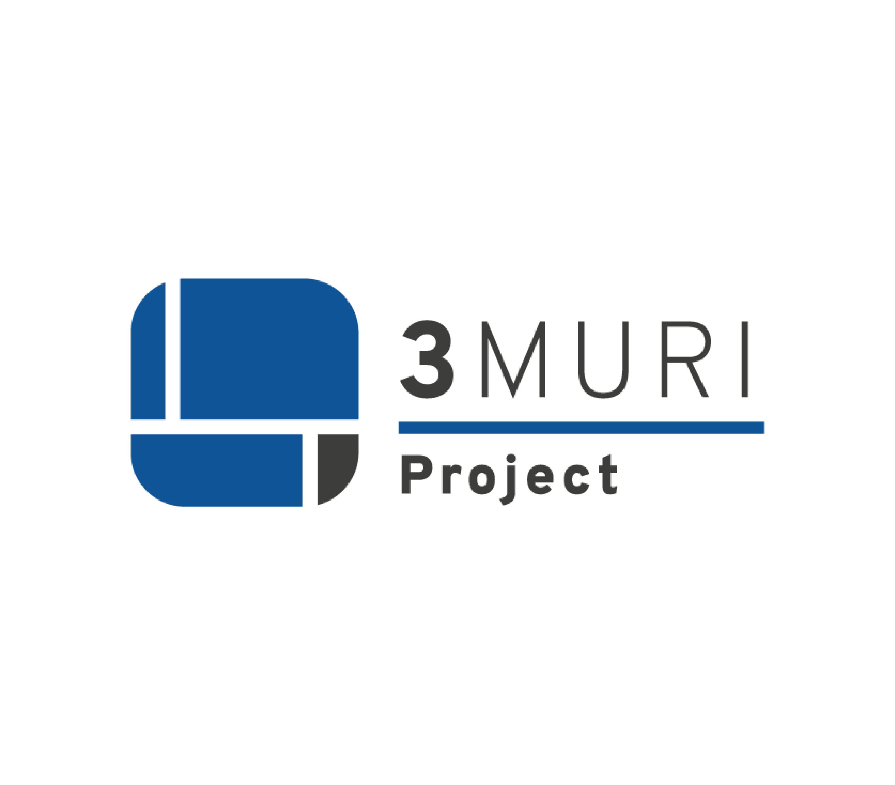 3Muri Project