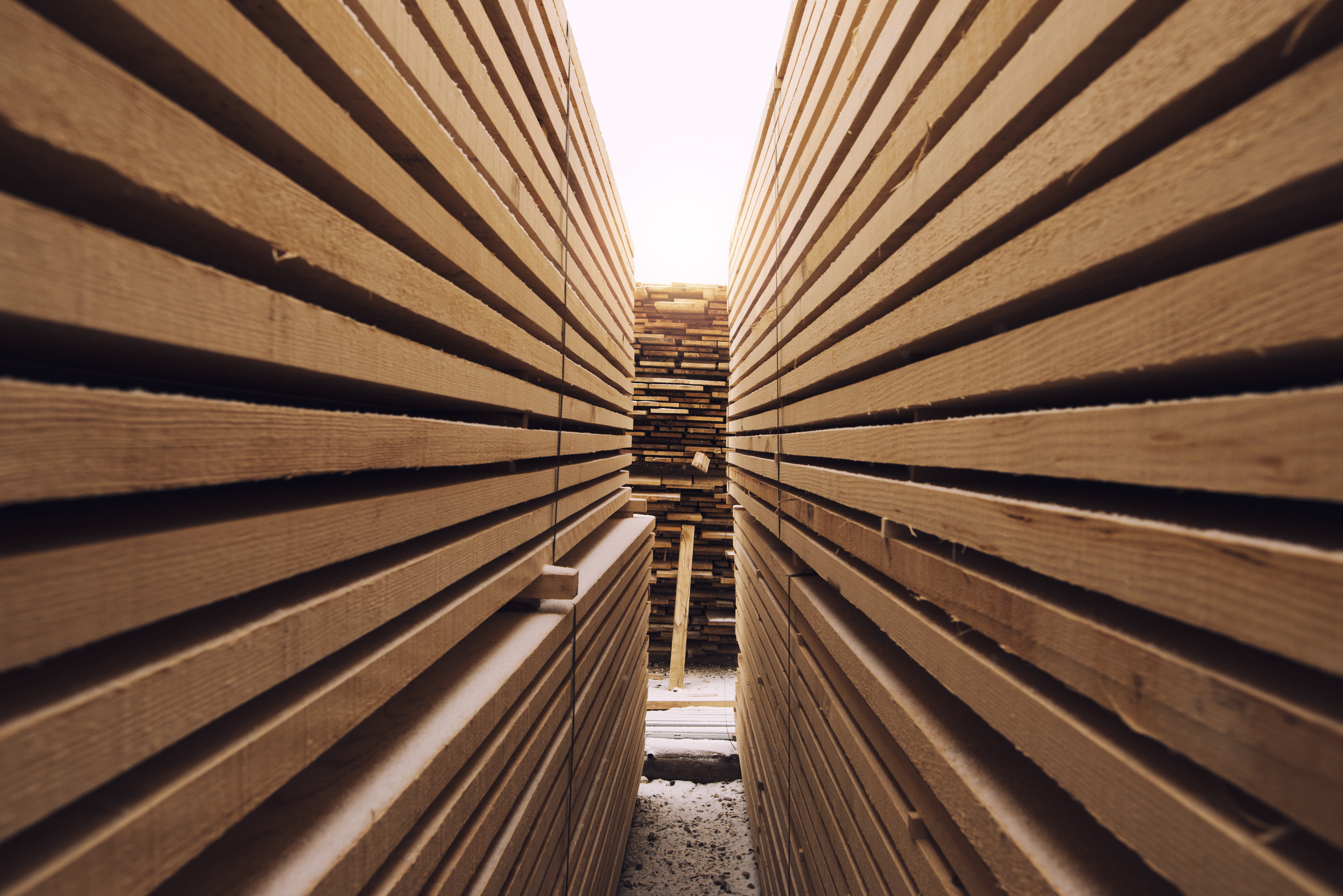 Segati per Edilizia/Carpenteria III/IV/V